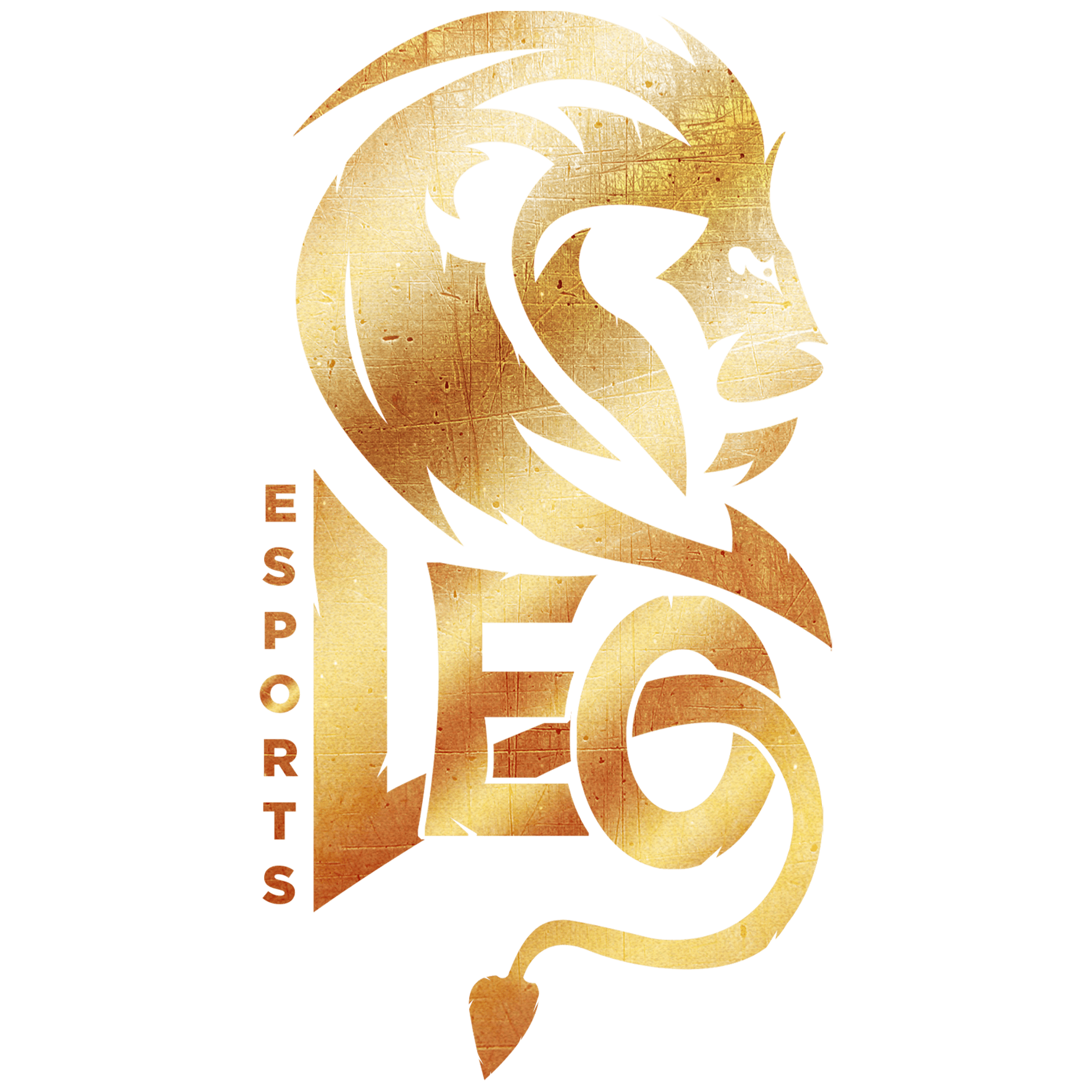 Leo Esport