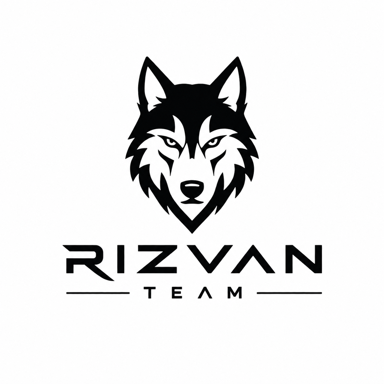 RIZVAN TEAM