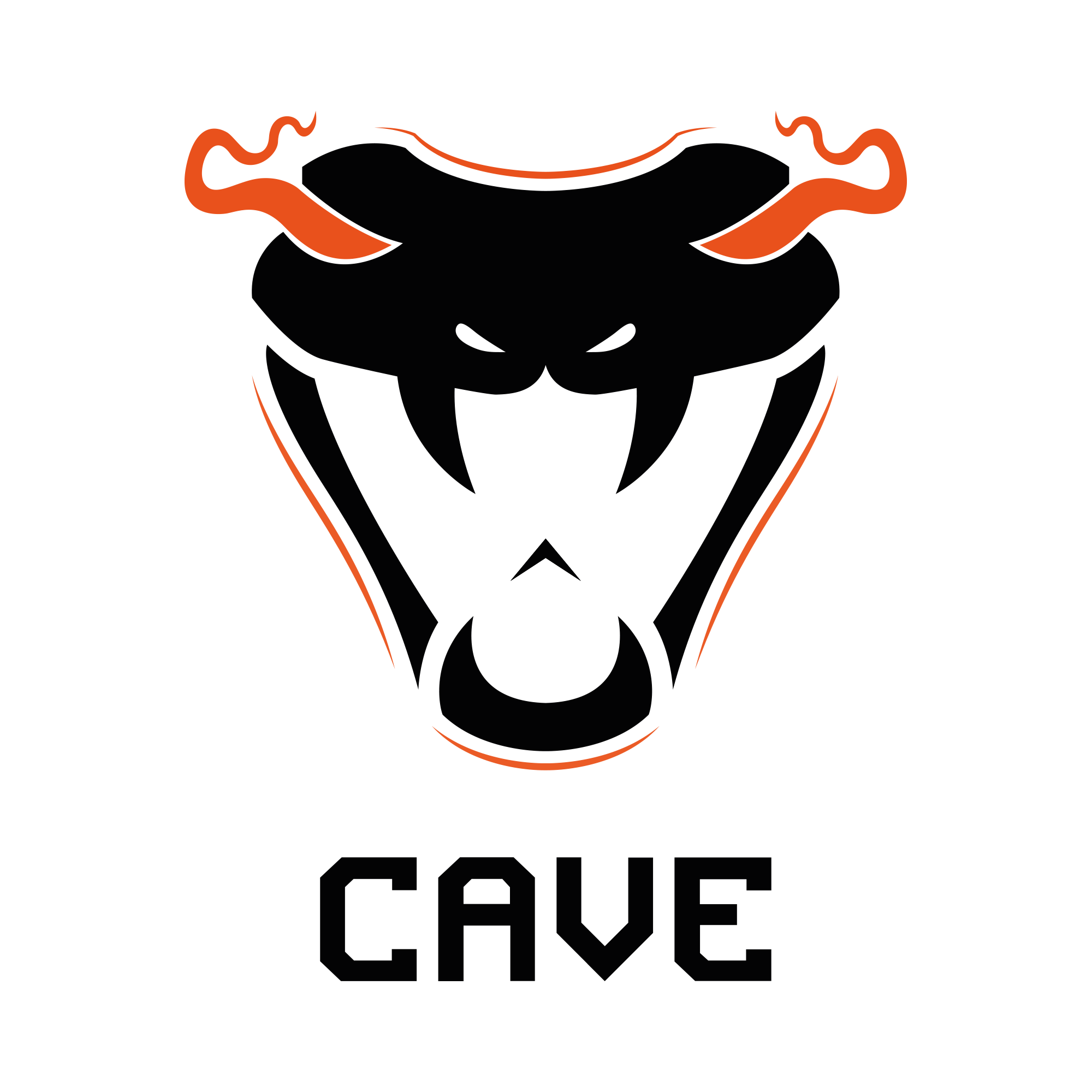 CAVE